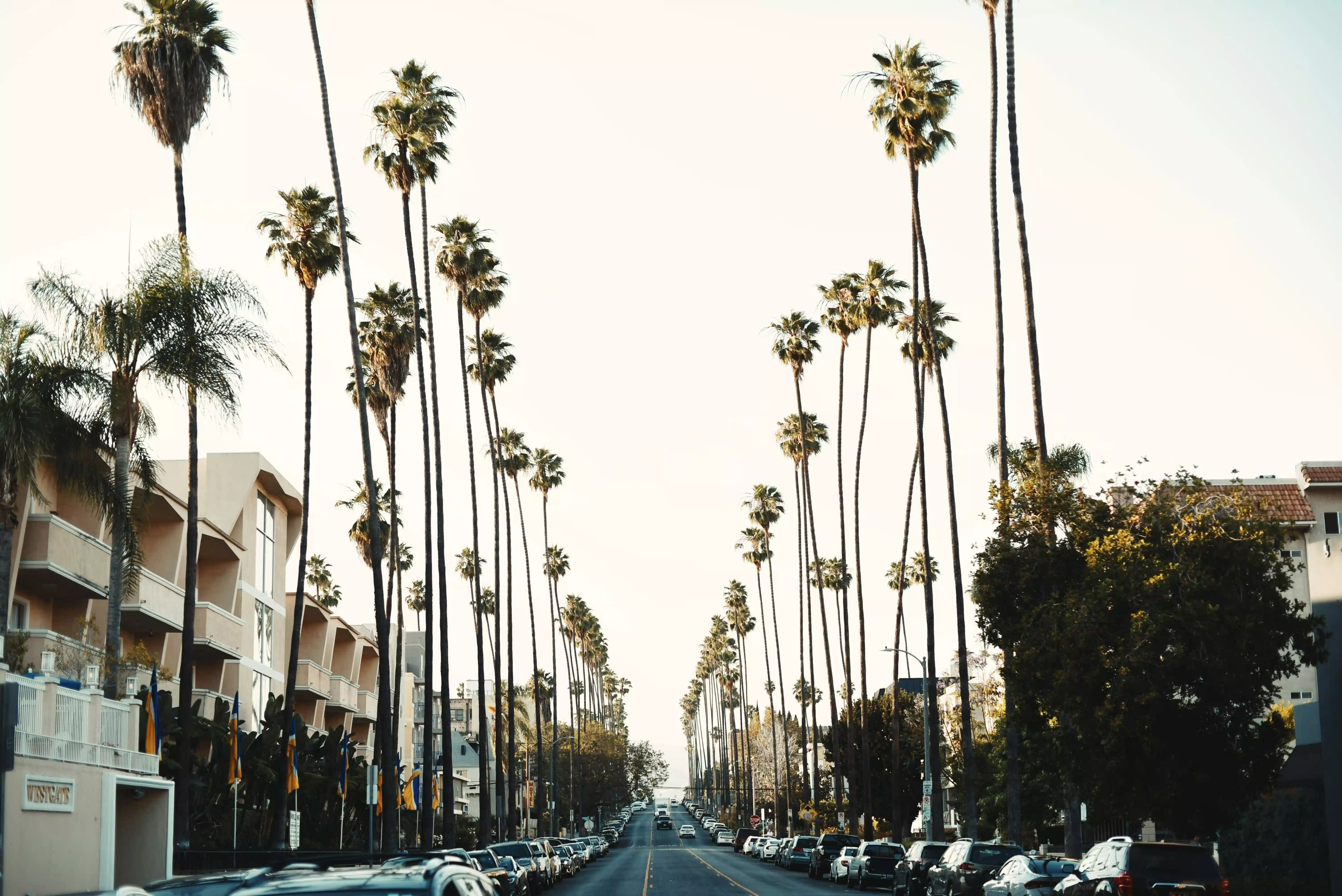 Regulatory Layering and Deferred Finality in California’s Coastal Development Process